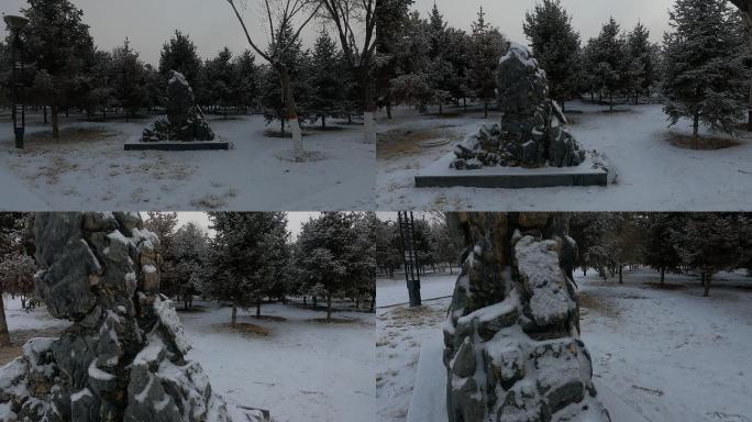 雪后松树院里的景观