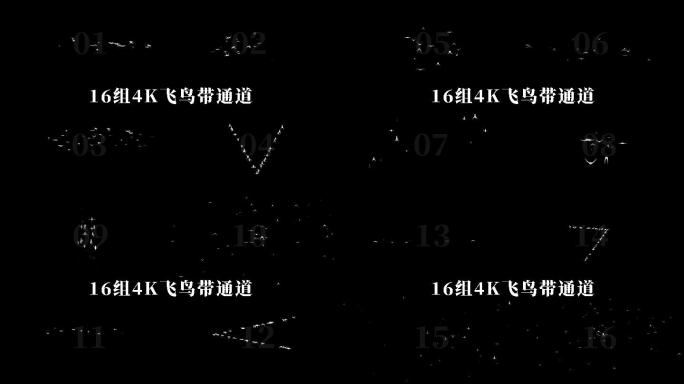 16组4K飞鸟带通道