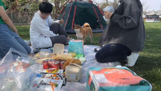 4K-年青人聚餐 游玩