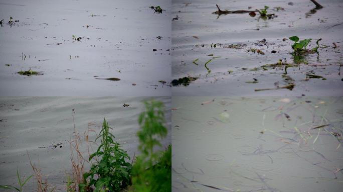 4K湘江河面漂浮的垃圾空镜