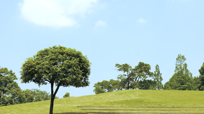 小清新树叶大树场景