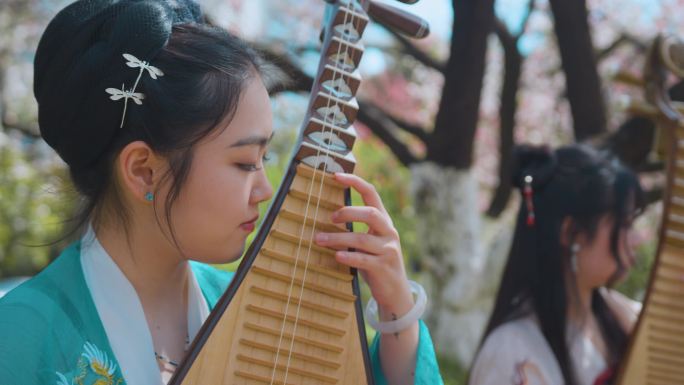 古风琵琶汉服桃花古装汉服美女