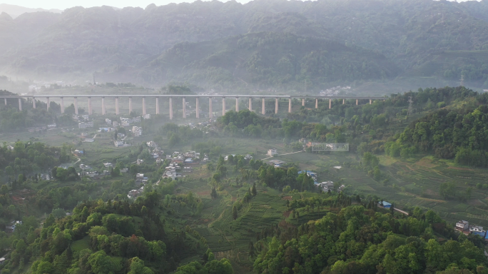 唯美茶园风光川茶基地美丽茶乡自然风景