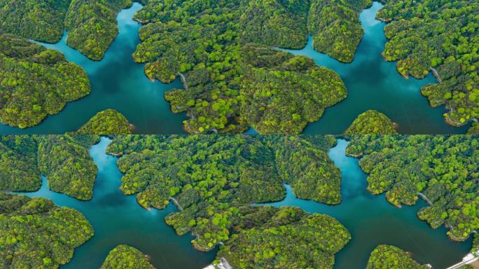 航拍原始森林湖泊雨林