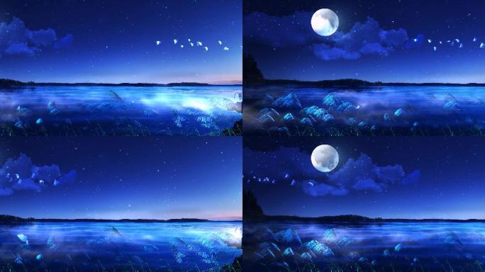 湖边夜景 夜晚 月亮 静静的夜