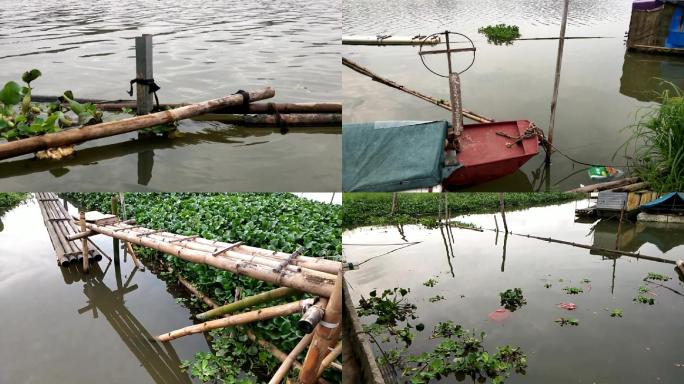 河道江边湖畔水上船泊人家污水环境浮水莲