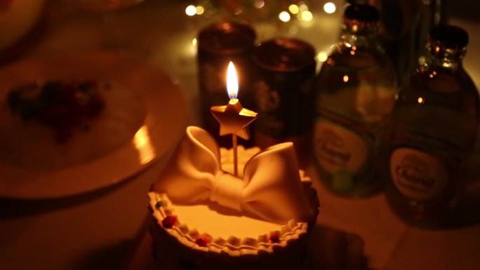 生日蛋糕 蜡烛 烛光 晚餐