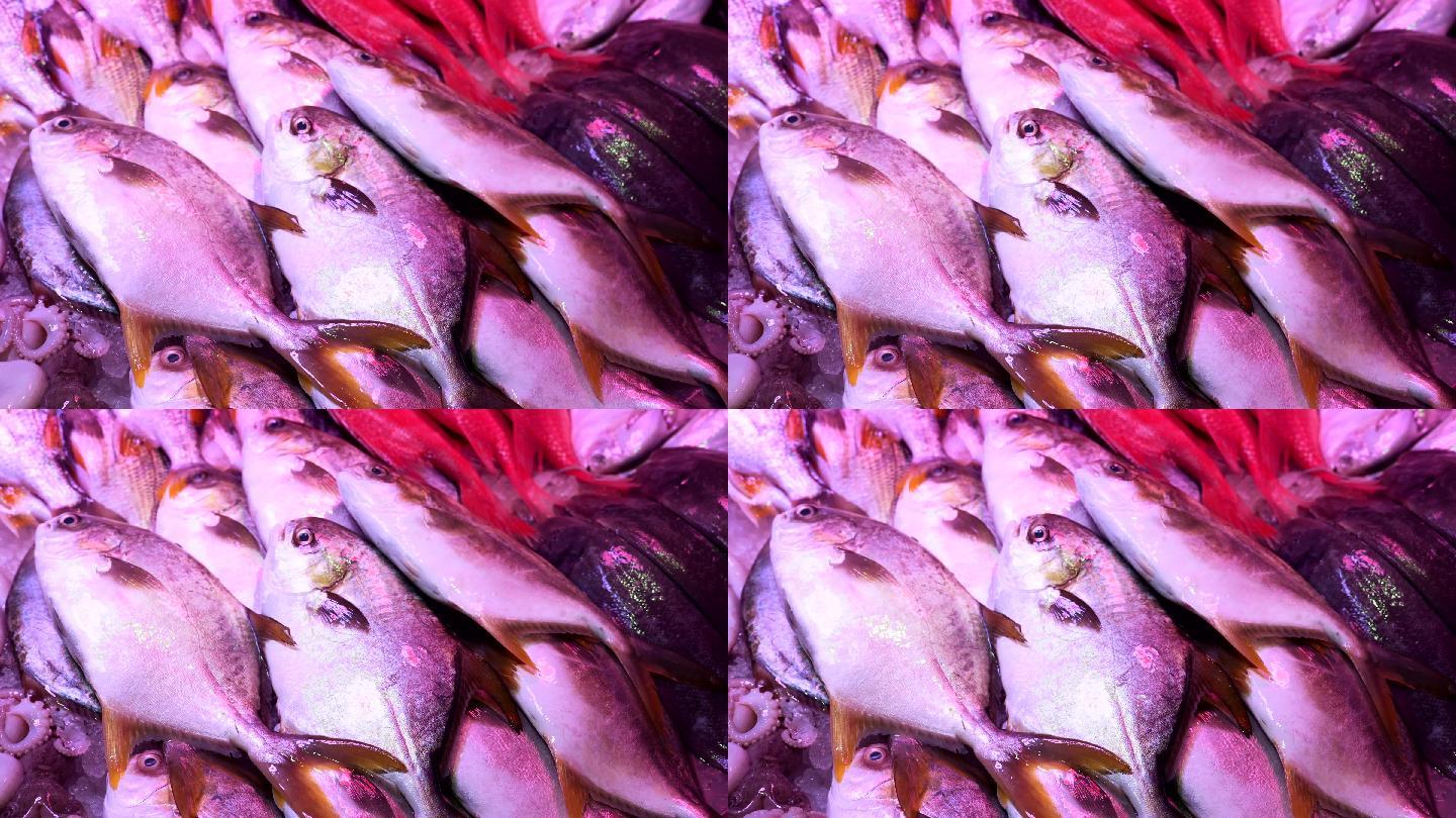 4K正版-菜市场农批超市码放的海鲜鱼类
