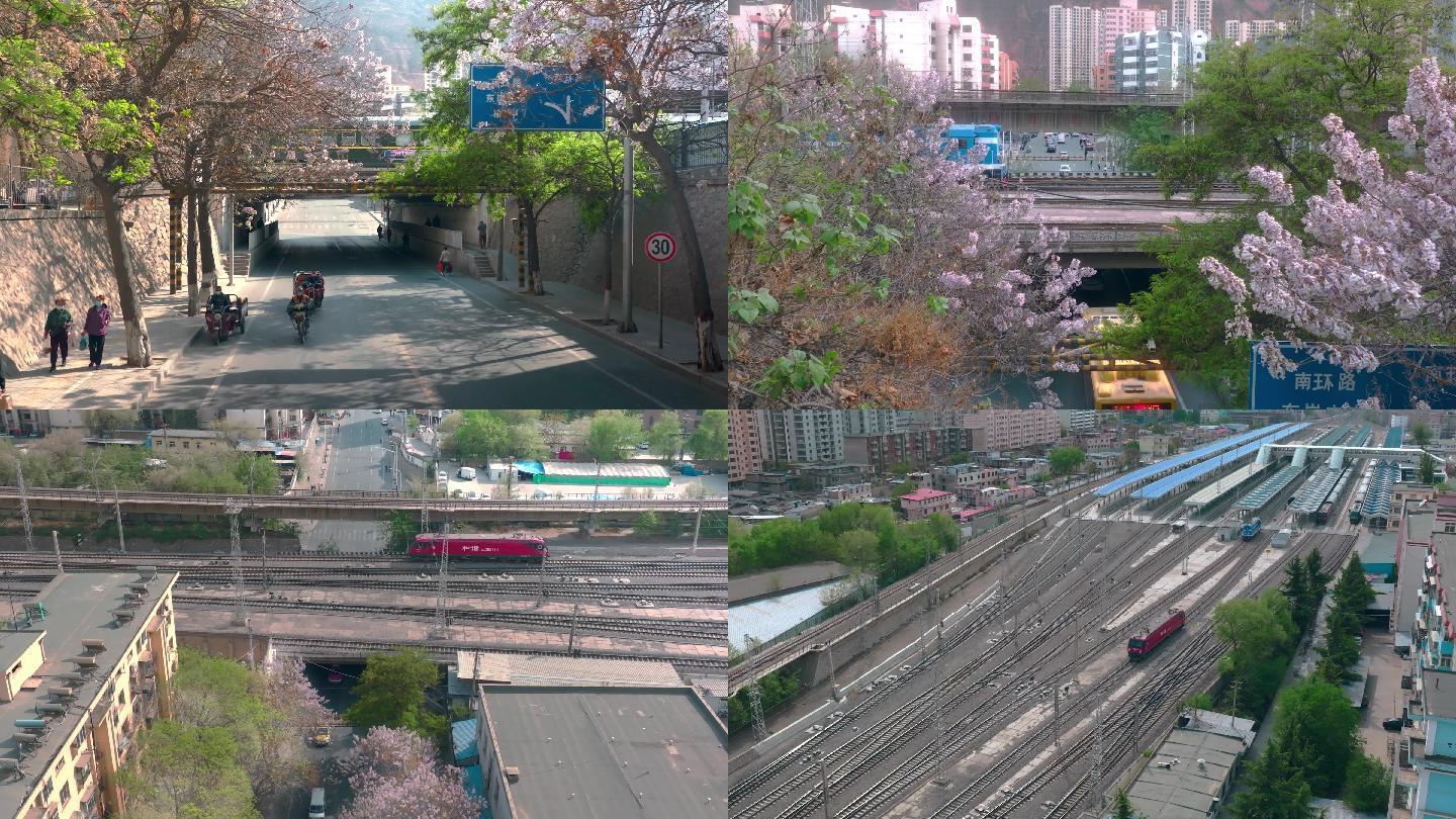 4K火车过桥梧桐树开花+慢镜头