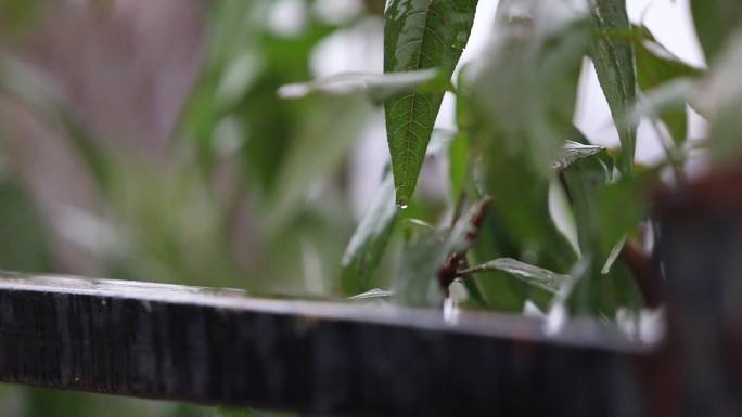 国家电网电业公司雨天巡线变电维护变电所