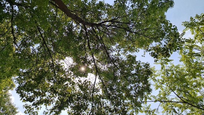 上海夏天烈日当空