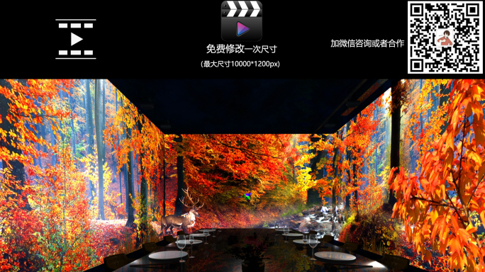 8K枫树林全息环幕投影视频素材