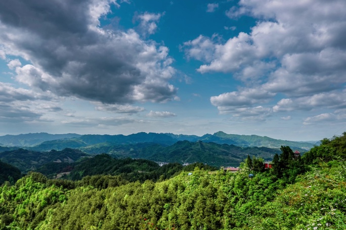 5.5K延时初夏森林远山5秒