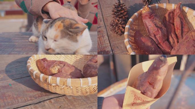 猫咪田园生活撸猫烤红薯升格阳光惬意暖洋洋