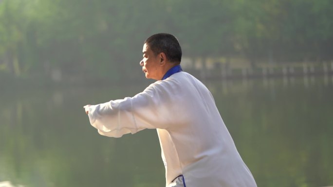 打太极 练太极 老人打太极