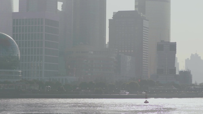 上海早晨黄浦江岸轮船飞鸟