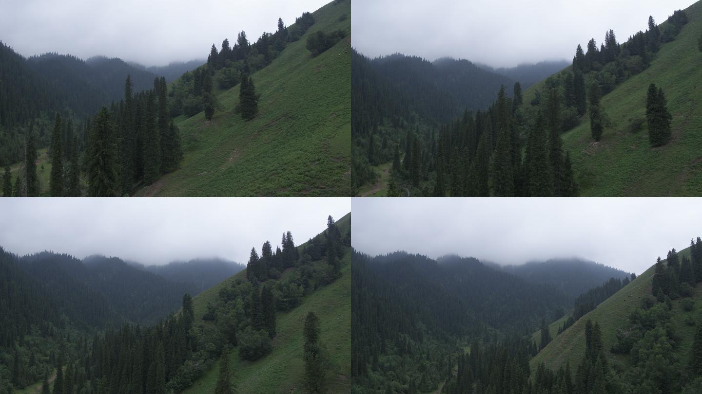 天山风景