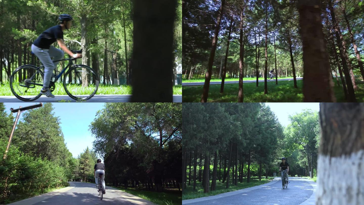 骑行者在林荫小道骑车户外骑车旅行