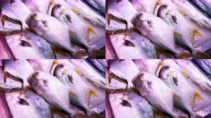 4K正版-超市菜市场整齐摆放的海鲜鱼类