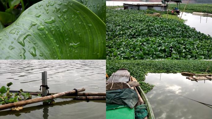 河道江边湖畔竹筏独木桥水上船家湖泊静水面