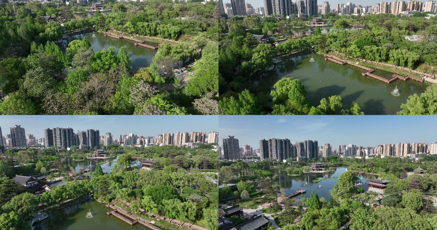 兴庆公园航拍西安公园素材西安宣传片素材