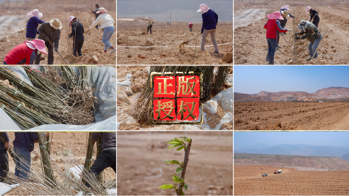 矿山生态修复植树环境恢复治理回填治理