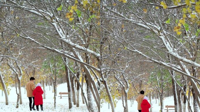 走在公园雪地里的中国母女形象