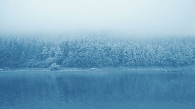 冬季雪景视频