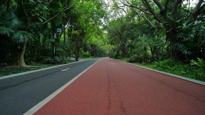 森林公园跑道自行车绿道林荫大道林间小路