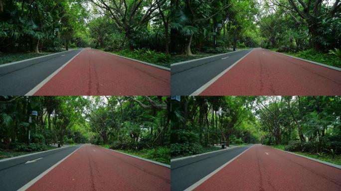 森林公园跑道自行车绿道林荫大道林间小路