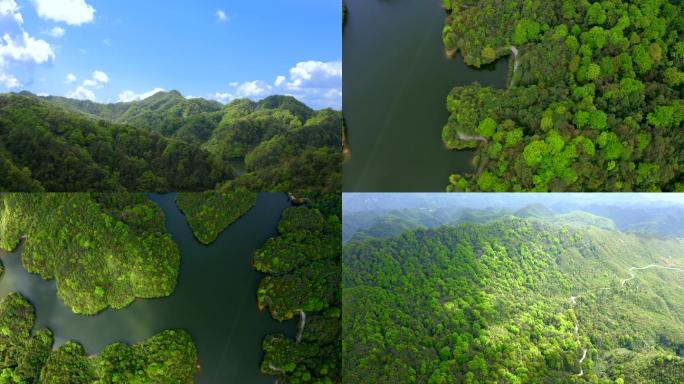 航拍原始森林湖泊雨林