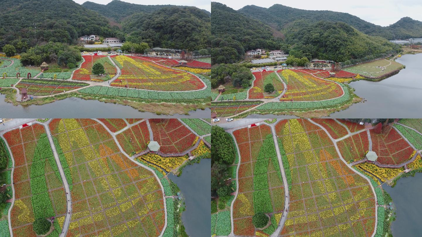 石门山公园花海