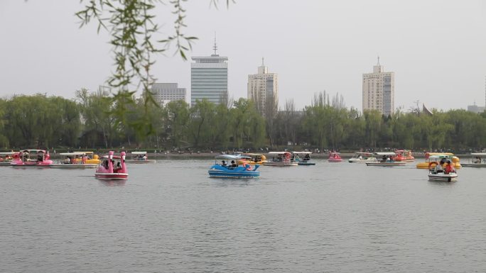 春天玉渊潭公园湖里游人划船游玩游船很多