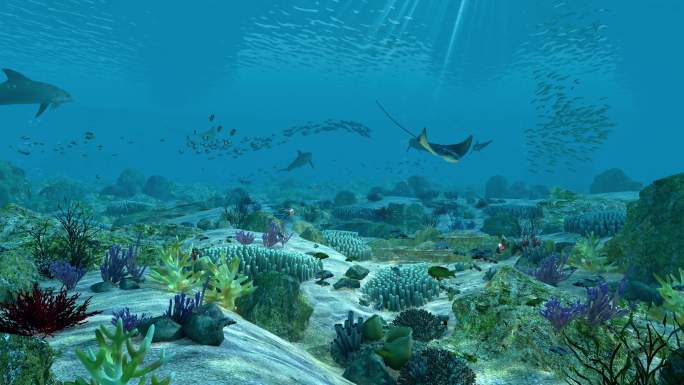 三维动画4k-海底世界