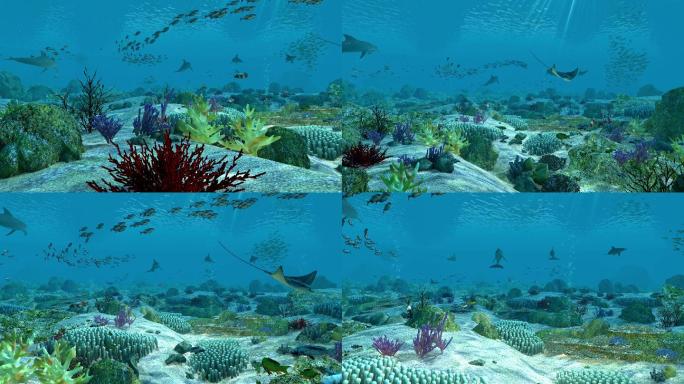 三维动画4k-海底世界
