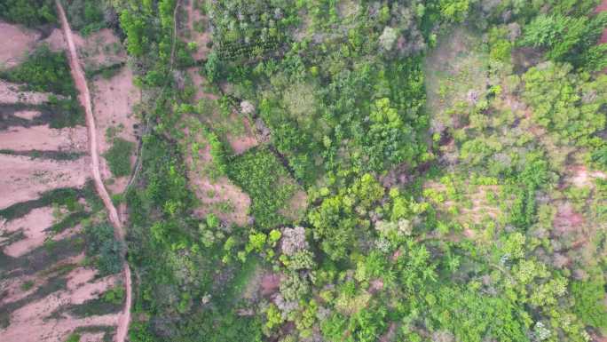 4k航拍山区大山自然风光生态环境A