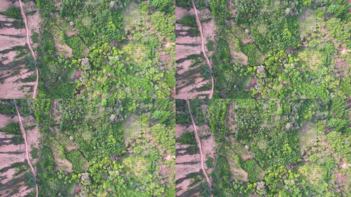 4k航拍山区大山自然风光生态环境A