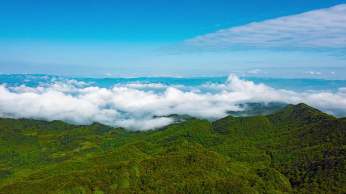 山顶雨林森林云海湖泊延时视频