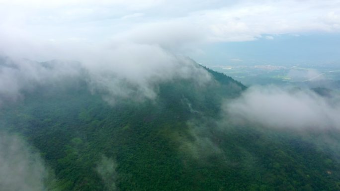 航拍惠州云海大山原始森林 云雾缭绕