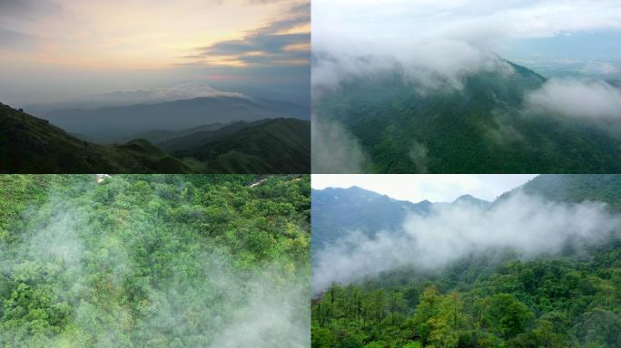 航拍惠州云海大山原始森林 云雾缭绕