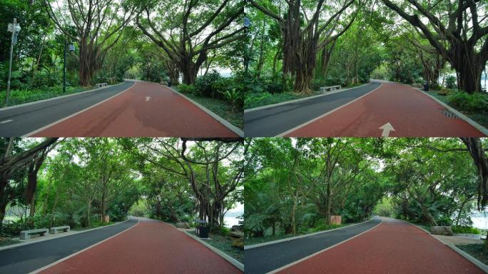 森林公园跑道自行车绿道林荫大道林间小路