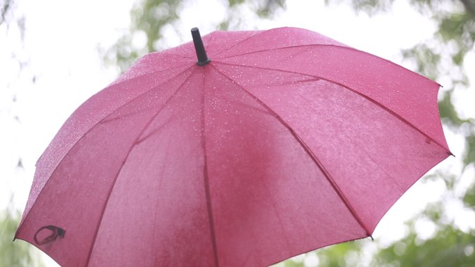 江南女孩白裙子红雨伞雨天荷塘背影