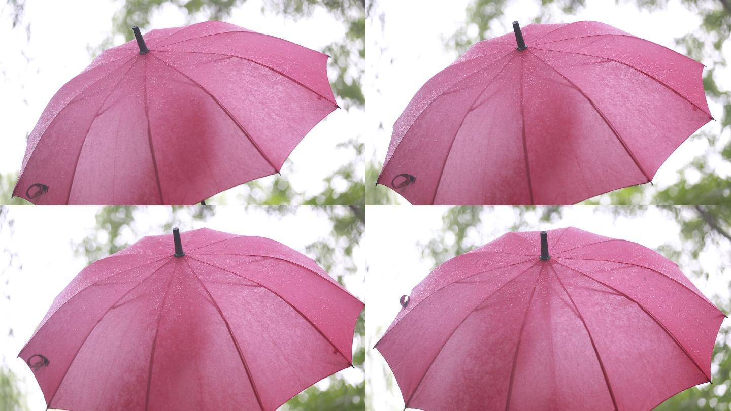 江南女孩白裙子红雨伞雨天荷塘背影