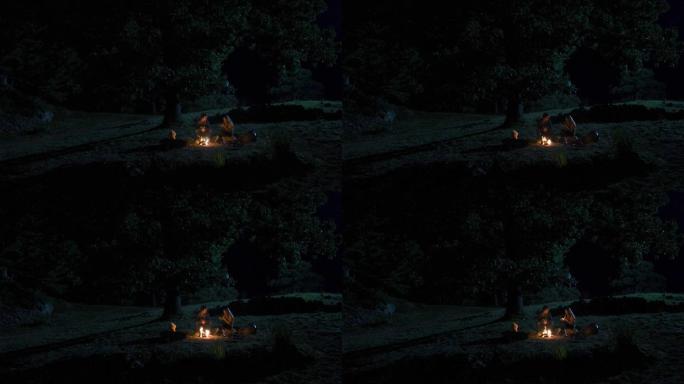 篝火野外驴友过夜背景视频