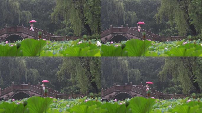 江南园林荷塘石桥女孩白裙红雨伞荷花荷叶