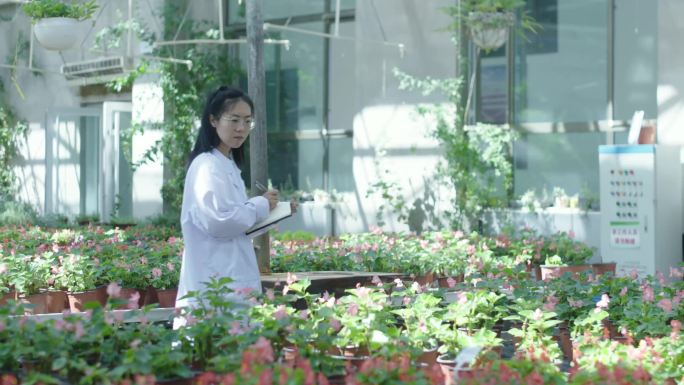 4K研发中心培育养殖花卉
