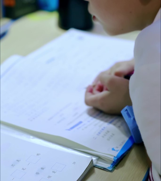 亚洲小学生在学习功课