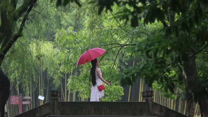江南雨天石桥白裙子女孩红雨伞绿叶背景转身