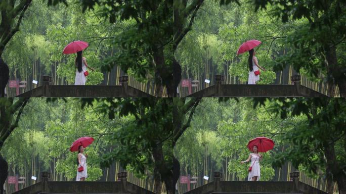 江南雨天石桥白裙子女孩红雨伞绿叶背景转身