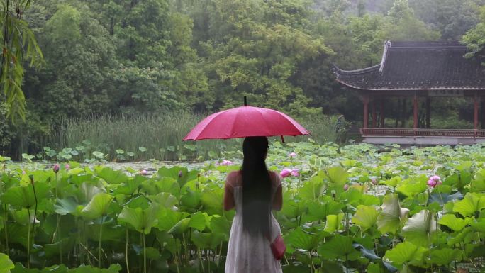 江南荷塘白裙女孩红雨伞雨天站立赏荷花